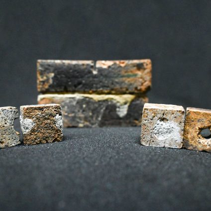 Rinnovabili • Habitat lunari: riparare i mattoni spaziali con i batteri