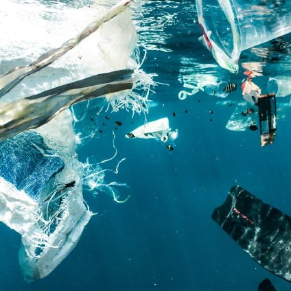 Rinnovabili • Perché la plastica rilascia frammenti pericolosi?