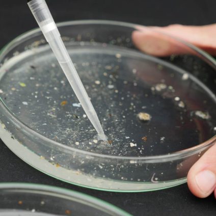 Rinnovabili • Microplastiche nei fiumi europei: l’inquinamento è “allarmante”