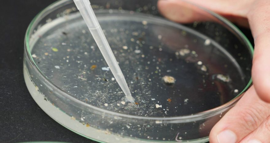 Rinnovabili • Microplastiche nei fiumi europei: l’inquinamento è “allarmante”