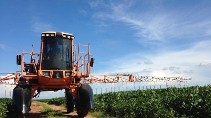 Rinnovabili • Zeo-biopesticidi, un’alternativa possibile all’uso del rame in agricoltura