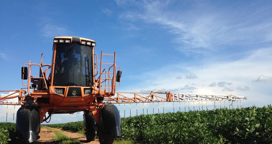Rinnovabili • Zeo-biopesticidi, un’alternativa possibile all’uso del rame in agricoltura