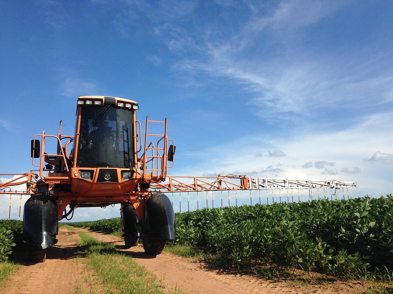 Rinnovabili • Zeo-biopesticidi, un’alternativa possibile all’uso del rame in agricoltura