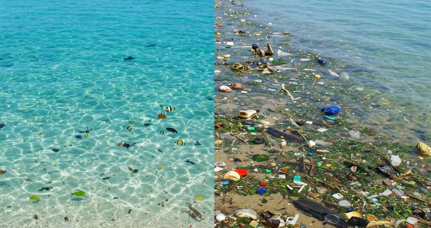 Rinnovabili • Inquinamento da microplastiche, micro depuratori per catturarle
