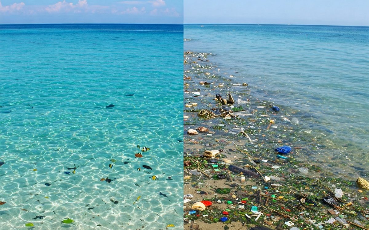 Inquinamento da microplastiche, micro depuratori per catturarle