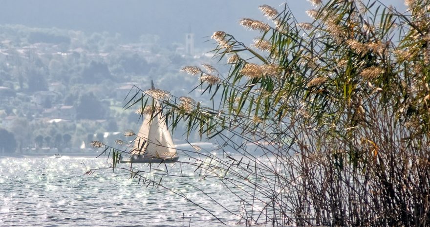 Rinnovabili • Aree Idonee in Lombardia, la Giunta approva il PDL