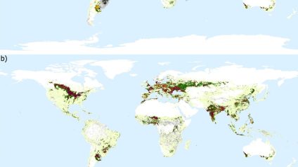 Rinnovabili • Competizione o collaborazione? Perché l’agrivoltaico fa bene all’agricoltura