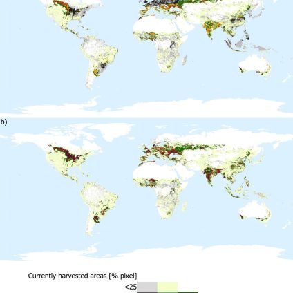 Rinnovabili • Competizione o collaborazione? Perché l’agrivoltaico fa bene all’agricoltura