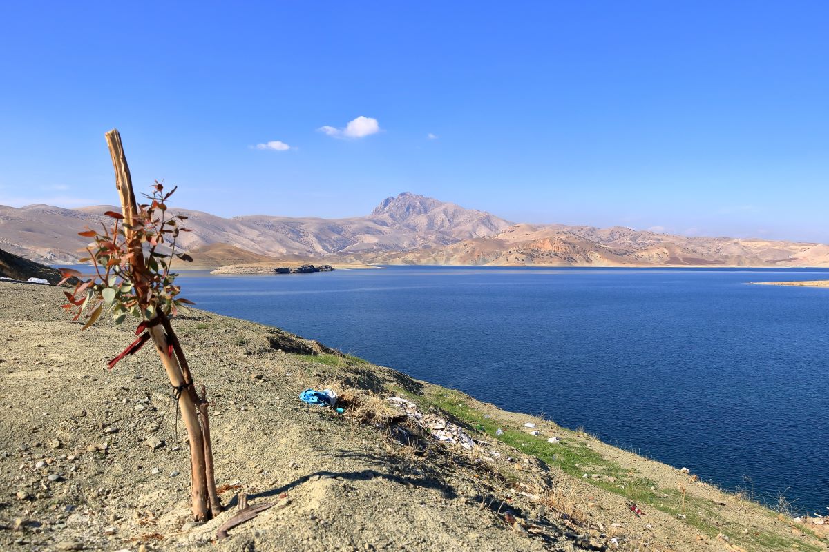 Iraq: crisi climatica e fragilità, il futuro della sostenibilità