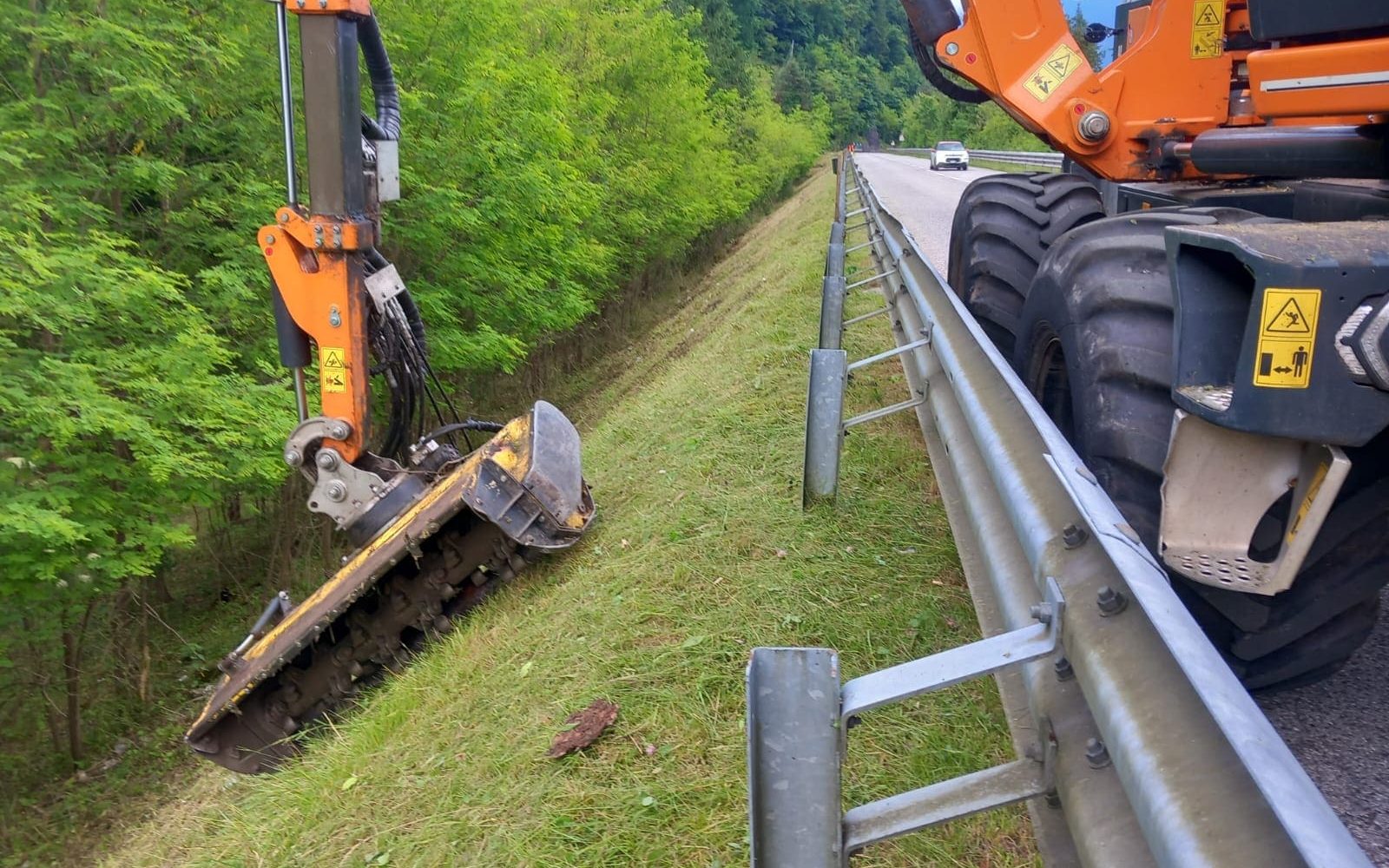 Verde infrastrutturale: la risposta italiana agli impatti del climate change sulle strade