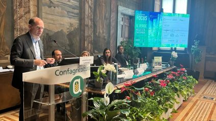 Rinnovabili • Libro Bianco del Verde 2025: il verde nella città che cambia