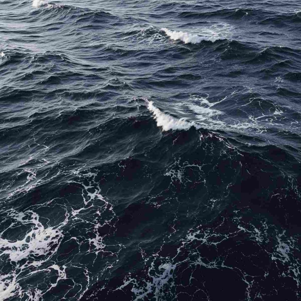 Oscuramento oceani: Lo studio dell’Università di Plymouth pubblicato sulla rivista scientifica Global Change Biology rivela l’oscuramento degli oceani su scala globale, con impatti sulla biodiversità e sulla zona fotica, vitale per la fotosintesi marina.