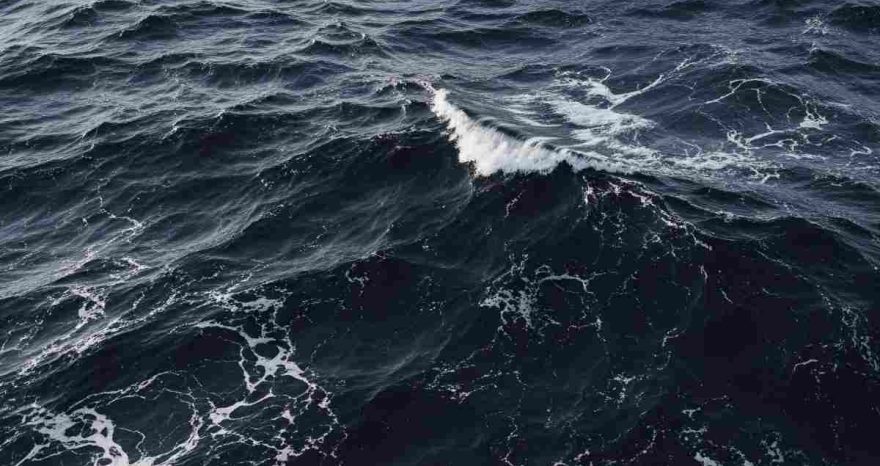 Rinnovabili • Oscuramento oceani: Lo studio dell’Università di Plymouth pubblicato sulla rivista scientifica Global Change Biology rivela l’oscuramento degli oceani su scala globale, con impatti sulla biodiversità e sulla zona fotica, vitale per la fotosintesi marina.