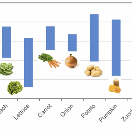 Rinnovabili • Tracce di additivi per pneumatici in frutta e verdura