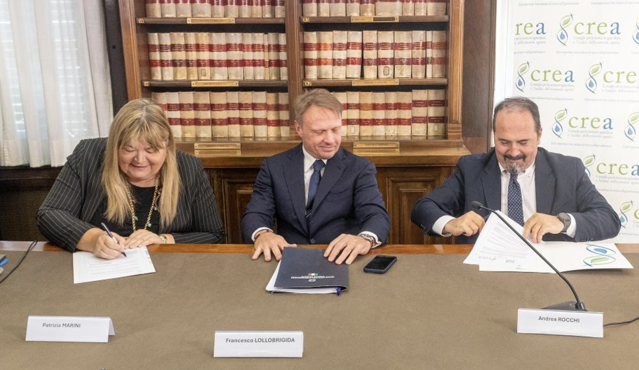 Rinnovabili • Nasce il primo Agrifood Innovation Hub