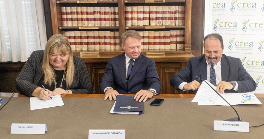 Rinnovabili • Nasce il primo Agrifood Innovation Hub
