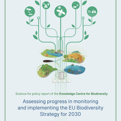 Rinnovabili • Stategia UE sulla biodiversità, quanto manca al 2030?