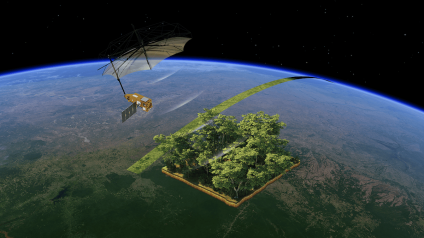 Rinnovabili • Dal satellite Biomass, mappe più complete sulle riserve di carbonio forestale