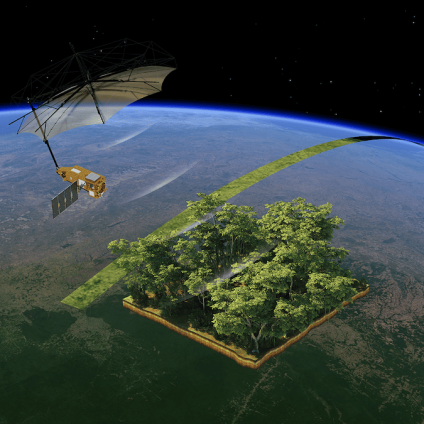 Rinnovabili • Dal satellite Biomass, mappe più complete sulle riserve di carbonio forestale