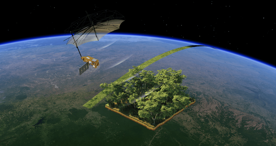 Rinnovabili • Dal satellite Biomass, mappe più complete sulle riserve di carbonio forestale