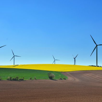 Rinnovabili • UE: via libera ai criteri non economici nelle aste per le rinnovabili