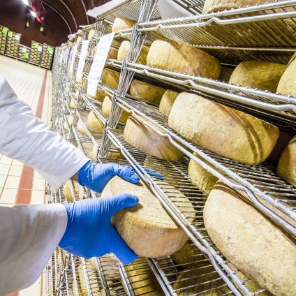 Rinnovabili • Idrogeno verde per produrre i formaggi sardi