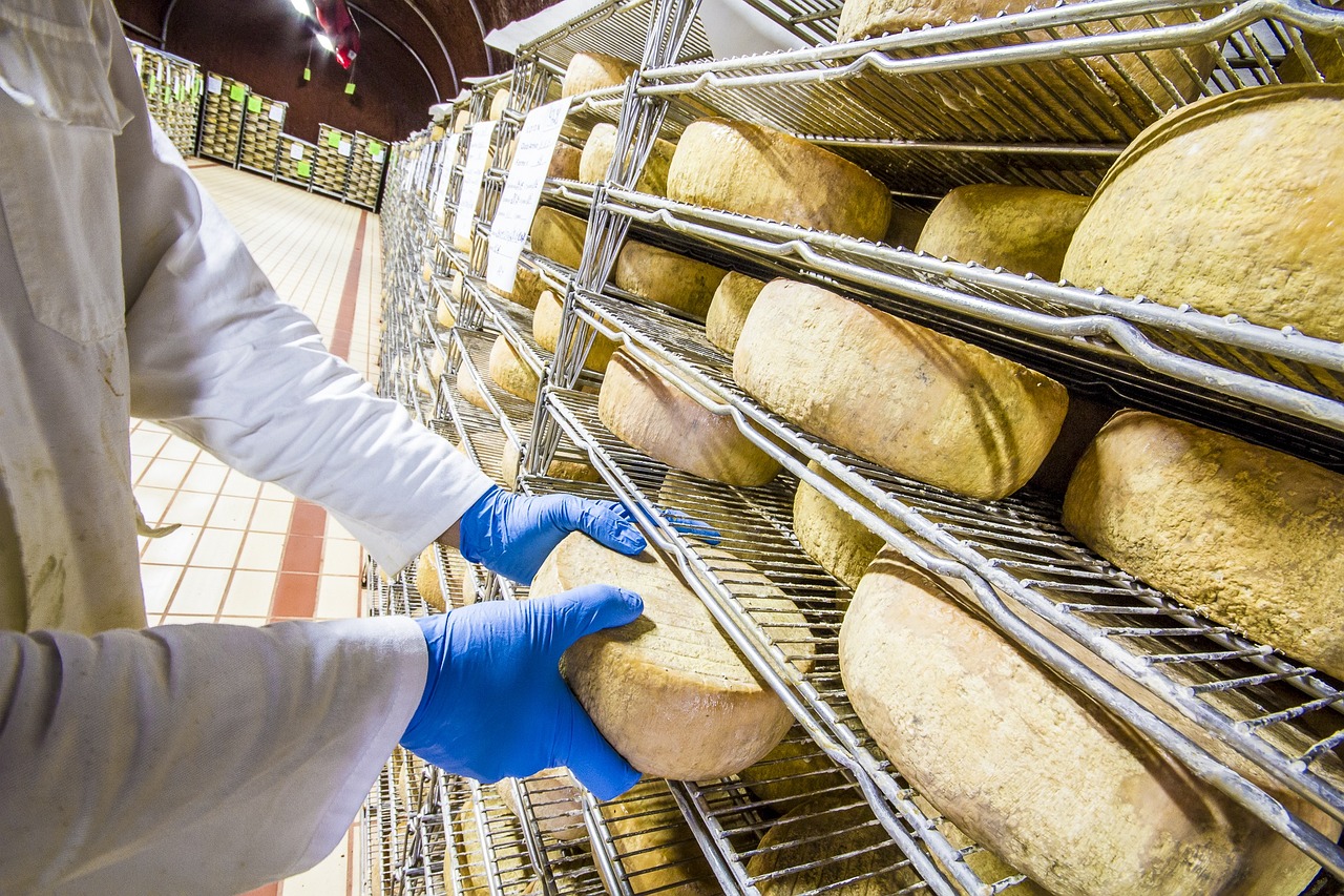 Rinnovabili • Idrogeno verde per produrre i formaggi sardi