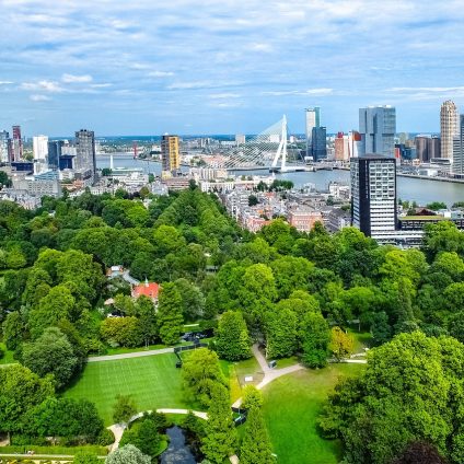 Rinnovabili • Verde urbano, gli alberi nelle città hanno una funzione salvavita