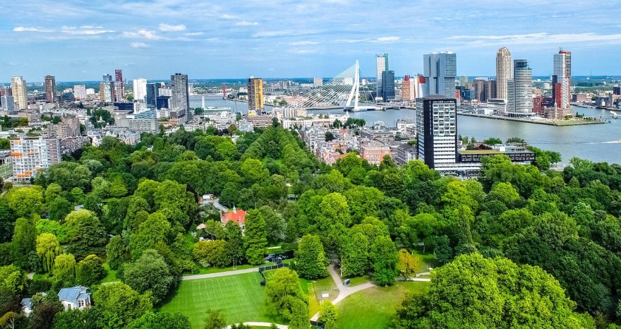 Rinnovabili • Verde urbano, gli alberi nelle città hanno una funzione salvavita