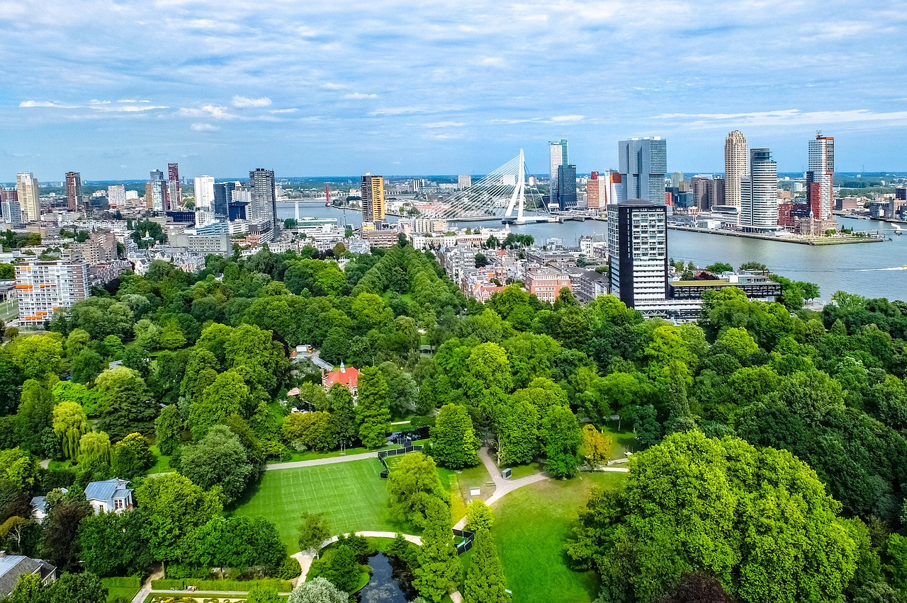 Rinnovabili • Verde urbano, gli alberi nelle città hanno una funzione salvavita