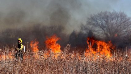 Rinnovabili • Copernicus: emissioni degli incendi boschivi, record in Corea del Sud, in calo nel Sudest asiatico