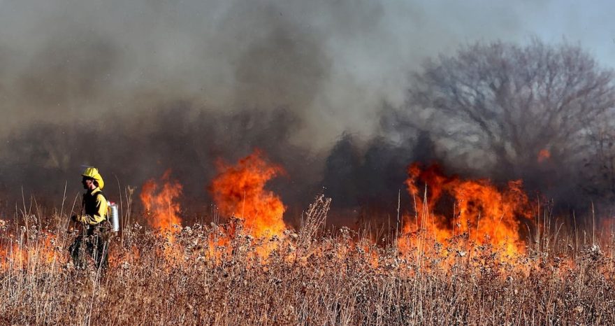 Rinnovabili • Copernicus: emissioni degli incendi boschivi, record in Corea del Sud, in calo nel Sudest asiatico