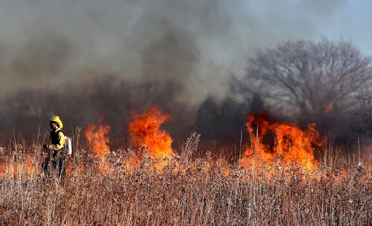 Rinnovabili • Copernicus: emissioni degli incendi boschivi, record in Corea del Sud, in calo nel Sudest asiatico