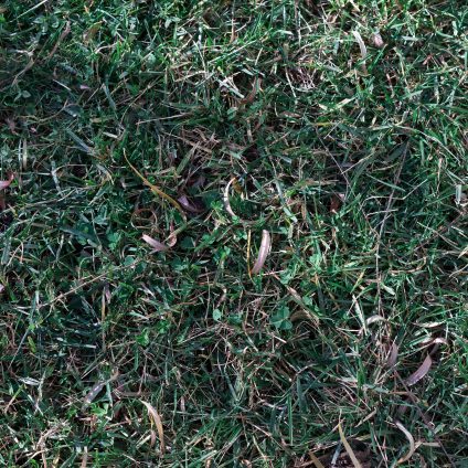 Rinnovabili • Sequestro del carbonio e rese dei raccolti vanno davvero d’accordo?