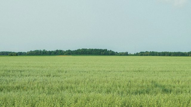 Rinnovabili • Rafforzare il bilancio della PAC, no al fondo unico dal Parlamento Europeo