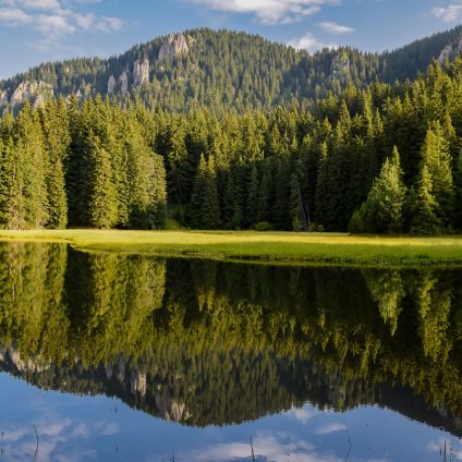 Rinnovabili • Zone umide, presidi di biodiversità che forniscono servizi ecosistemici