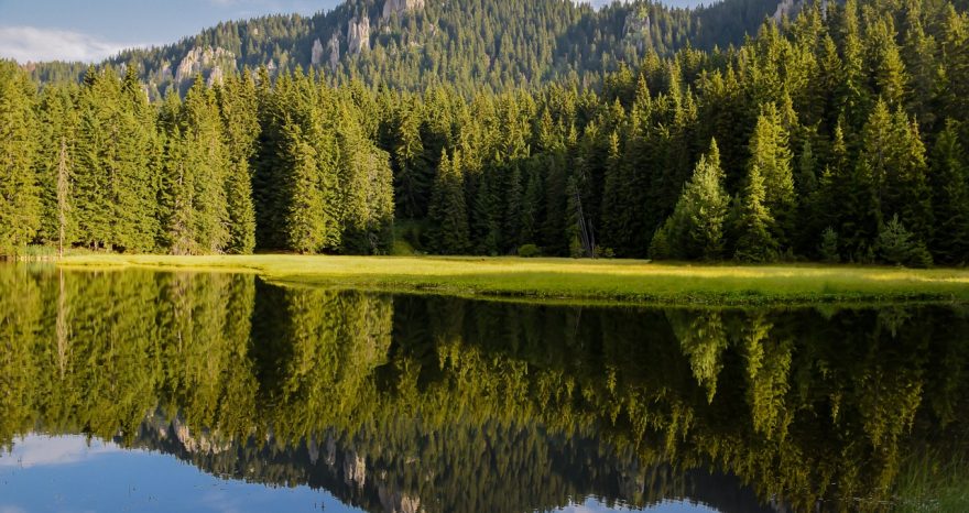 Rinnovabili • Zone umide, presidi di biodiversità che forniscono servizi ecosistemici