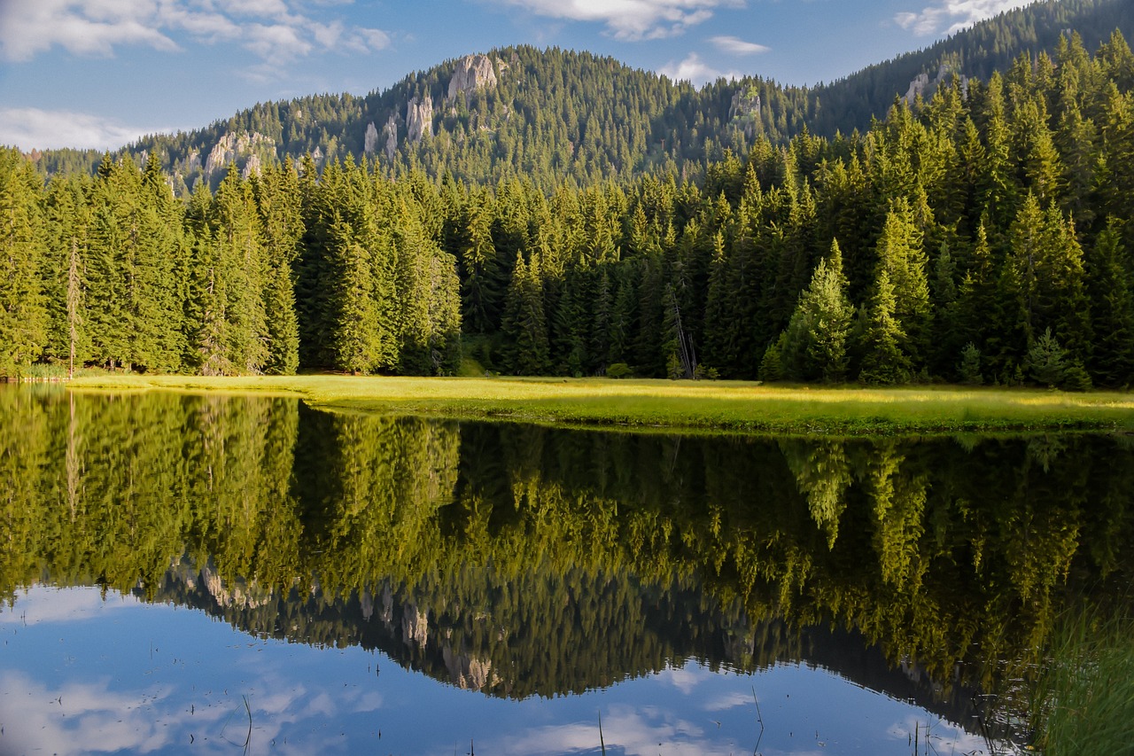 Zone umide, presidi di biodiversità che forniscono servizi ecosistemici