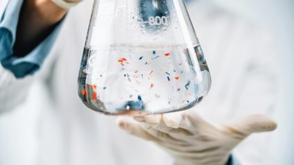 Rinnovabili • Come eliminare le microplastiche: risultati eccezionali con okra e fieno greco