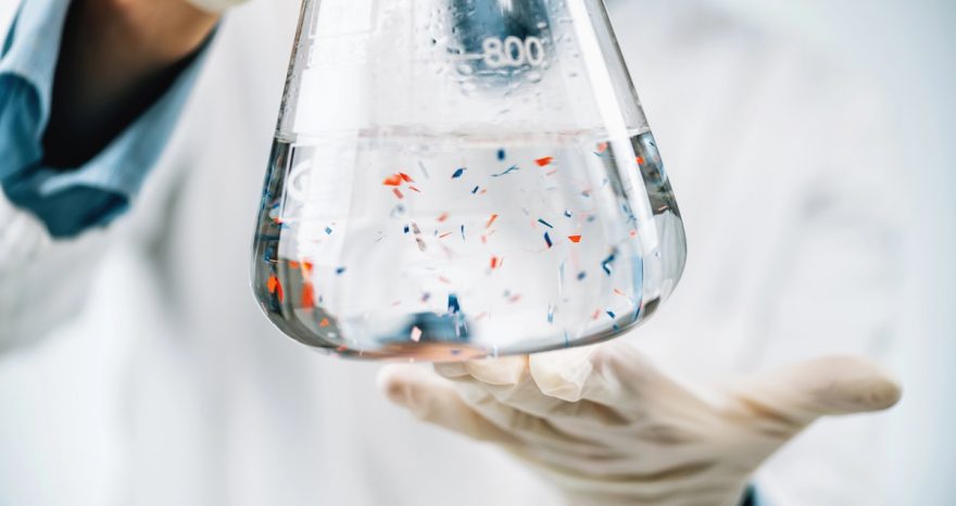 Rinnovabili • Come eliminare le microplastiche: risultati eccezionali con okra e fieno greco
