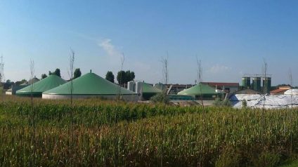 Rinnovabili • Prima Asta FER 2: ammessi 33 impianti per 6 MW