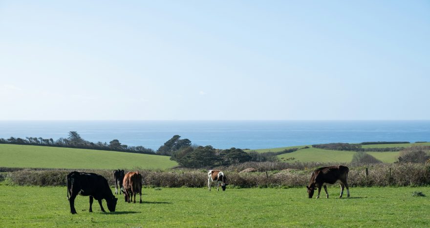 Rinnovabili • L’innalzamento del livello del mare incide sulle migrazioni degli agricoltori nelle zone costiere