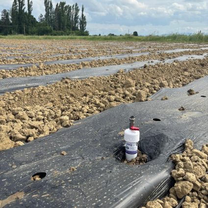 Rinnovabili • Con il progetto FIRO l’agricoltura è sempre più smart