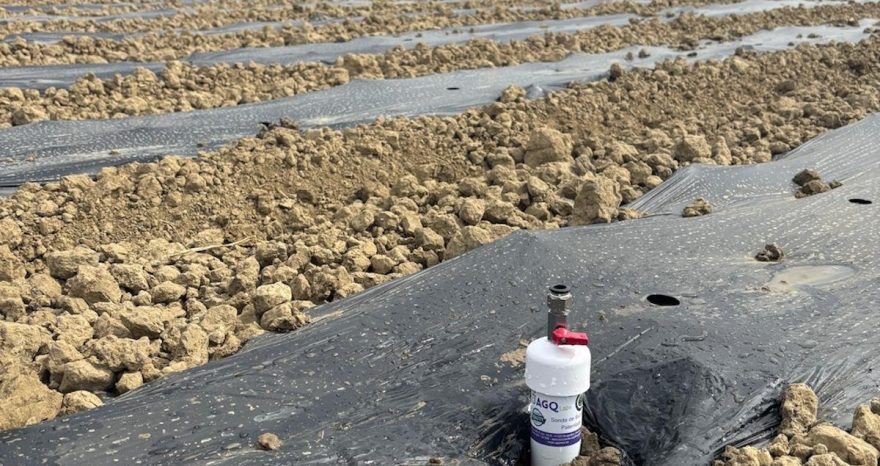 Rinnovabili • Con il progetto FIRO l’agricoltura è sempre più smart
