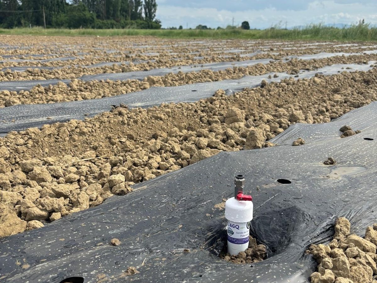 Con il progetto FIRO l’agricoltura è sempre più smart
