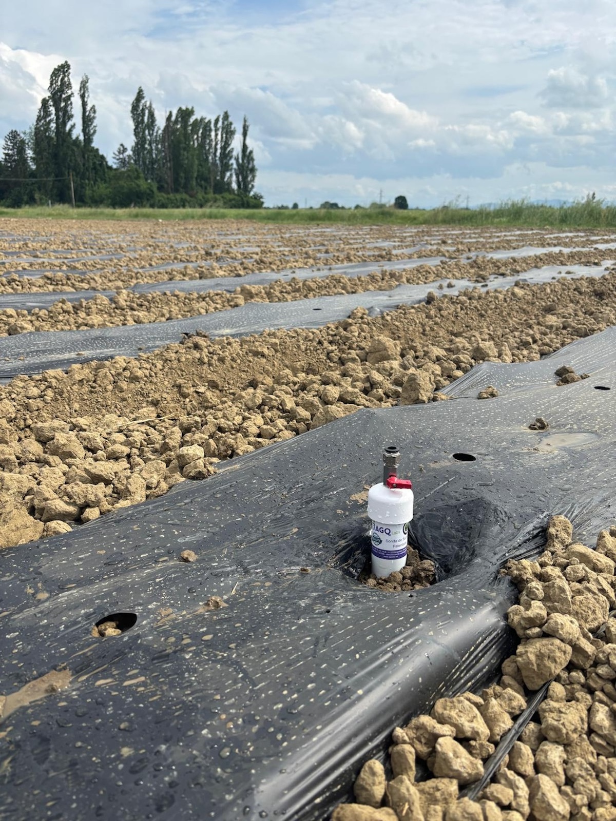 Rinnovabili • Con il progetto FIRO l’agricoltura è sempre più smart