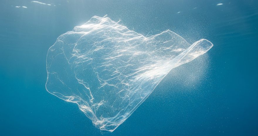 Rinnovabili • Plastica biodegradabile, addio alle microplastiche nell'oceano