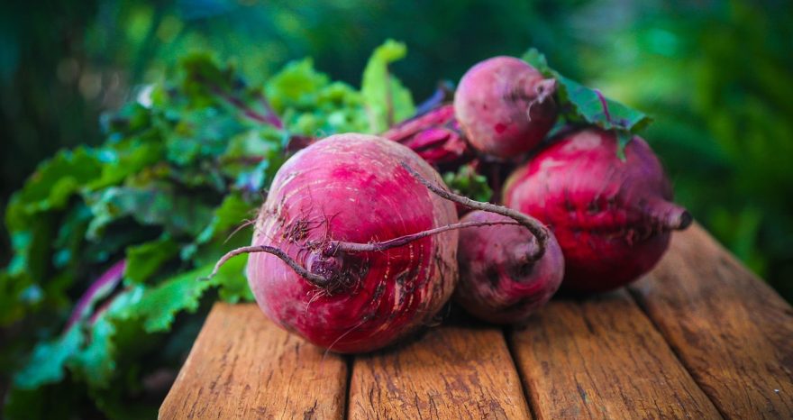 Rinnovabili • Economia circolare, le applicazioni possibili in agricoltura