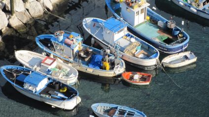 Rinnovabili • Filiera ittica, due bandi del MASAF mettono a disposizione 21 milioni di euro