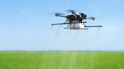 Rinnovabili • Residui di pesticidi negli alimenti e rischi per la salute, l’analisi dell’EFSA